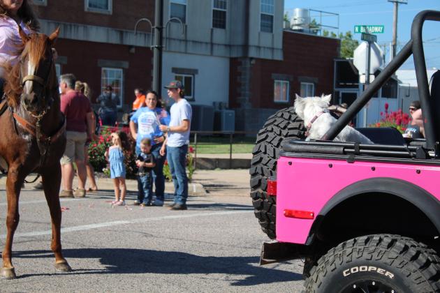 Frontier Days Parade