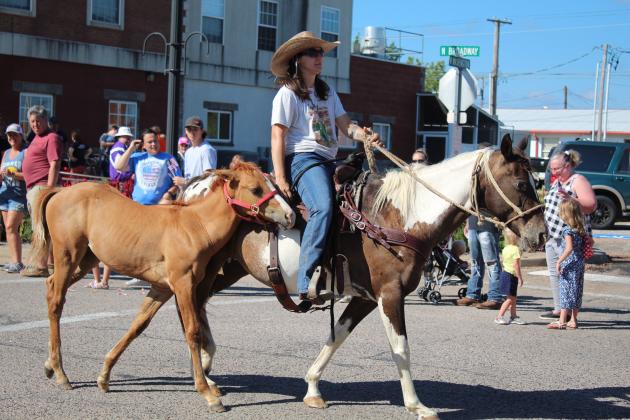 Frontier Days Parade
