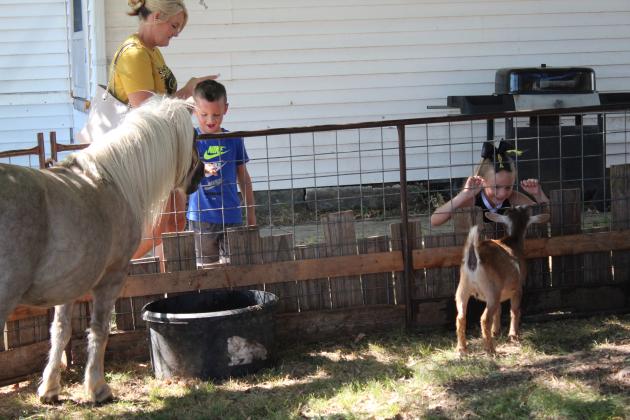 Frontier Days Kids Zone