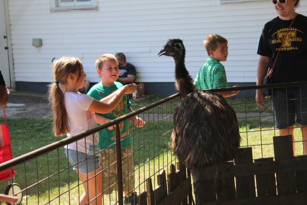 Frontier Days Kids Zone