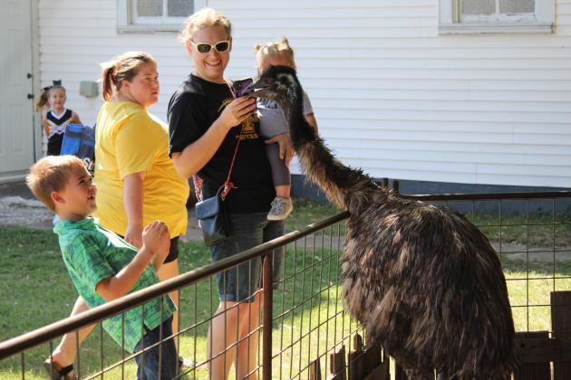 Frontier Days Kids Zone
