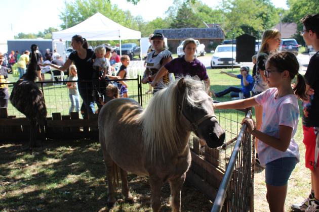 Frontier Days Kids Zone