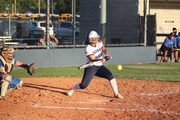 Shawnee's Ki'ya Crowder prepares to smack the ball during the eighth inning of the district home game on Sept. 20. The Lady Wolves lost, 1-2, in extra innings. Countywide &amp; Sun/Natasha Dunagan