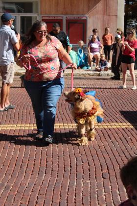 Fancy, the scarecrow, won first place overall and first in large dogs during the Monsters on Main pet contest in downtown Shawnee, Oct. 22. Countywide &amp; Sun/Natasha Dunagan