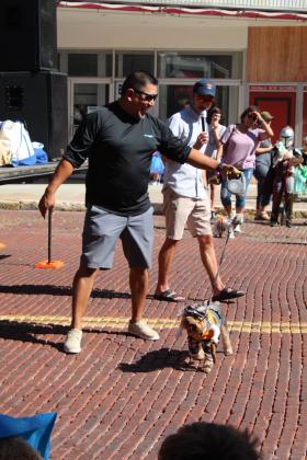 Led by his owner Chris Wassana, Jax, as Sherlock Holmes, won second place overall and first place in the small dogs during the Monsters on Main pet contest in downtown Shawnee, Oct. 22. Countywide &amp; Sun/Natasha Dunagan