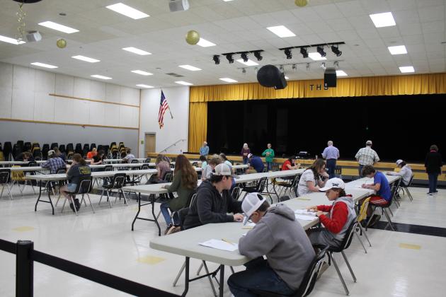 Beef Quiz Bowl
