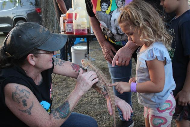 Daisy Knight, 3, of Sparks, pets a bearded dragon held by Johnna Rillema, of Macomb, during Macomb Trade Days on Sept. 23.