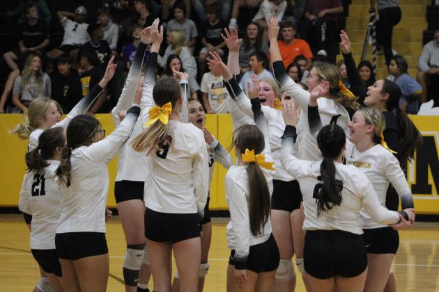 Tecumseh Volleyball Senior Night