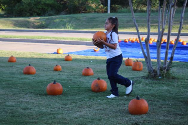 Mila Grant, 5, of Shawnee, carries a pumpkin from the Frenzy on Federal pumpkin patch on Oct. 1. Countywide &amp; Sun/Natasha Dunagan