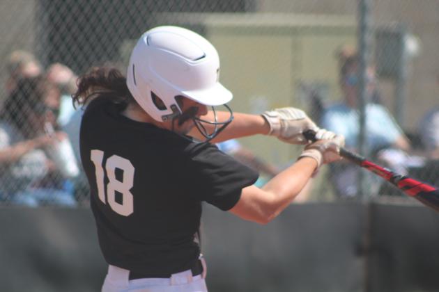 Tecumseh Lady Savages Win Regionals