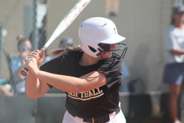 Tecumseh Lady Savages Win Regionals