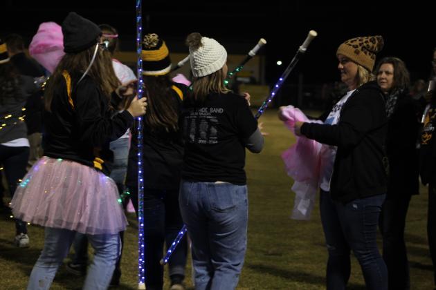 Tecumseh Savage Pride Band Light Show