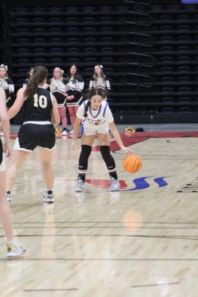 Lady Wildcats Take Tournament Championship