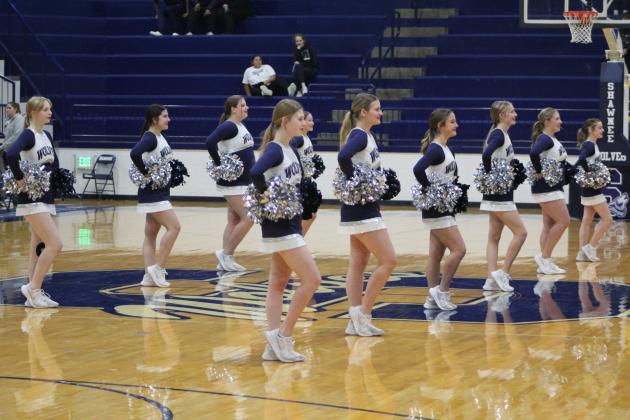 Lady Wolves