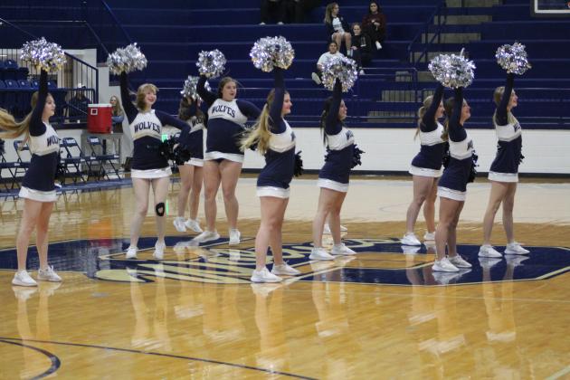 Lady Wolves
