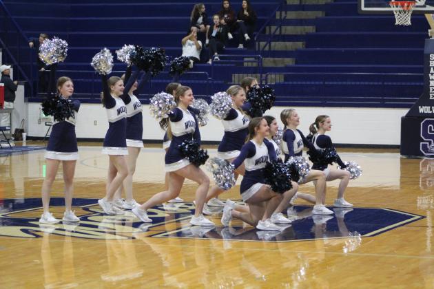 Lady Wolves