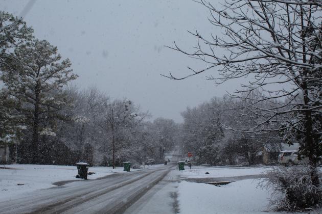 Snowy Tuesday