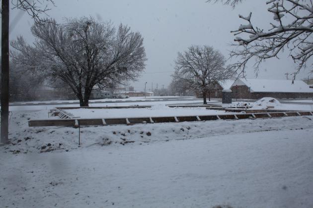 Snowy Tuesday