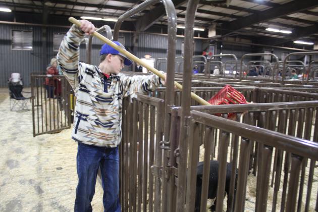 Central Area Livestock Show