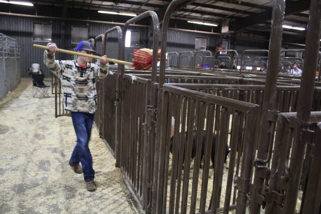 Central Area Livestock Show
