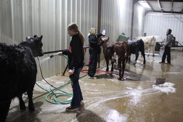 Central Area Livestock Show
