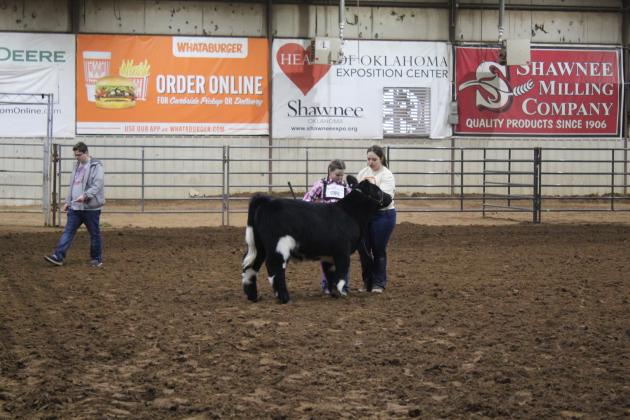 Central Area Livestock Show