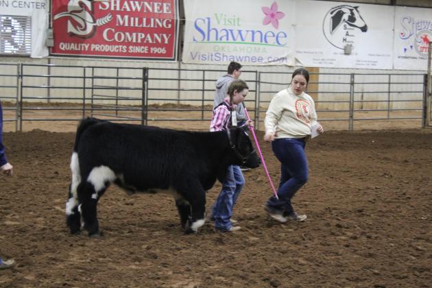 Central Area Livestock Show