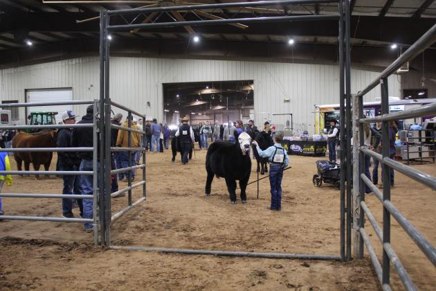 Central Area Livestock Show
