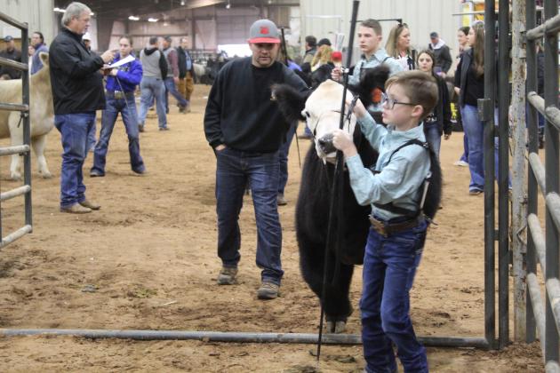 Central Area Livestock Show