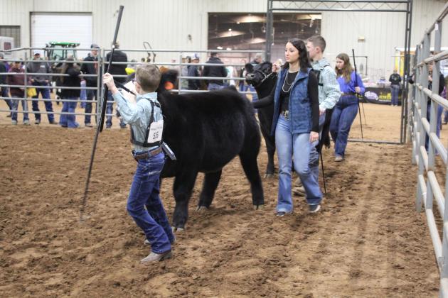 Central Area Livestock Show