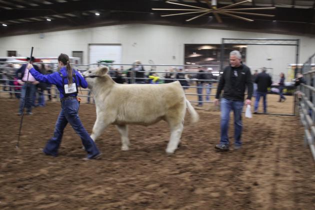 Central Area Livestock Show