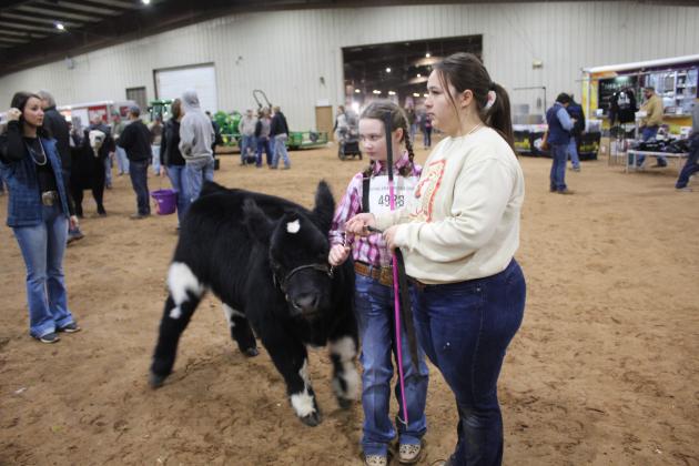 Central Area Livestock Show