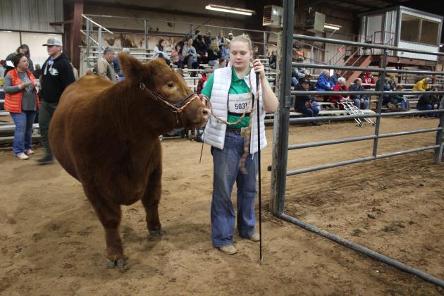 Central Area Livestock Show