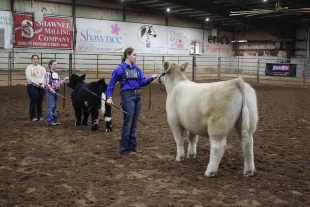 Central Area Livestock Show