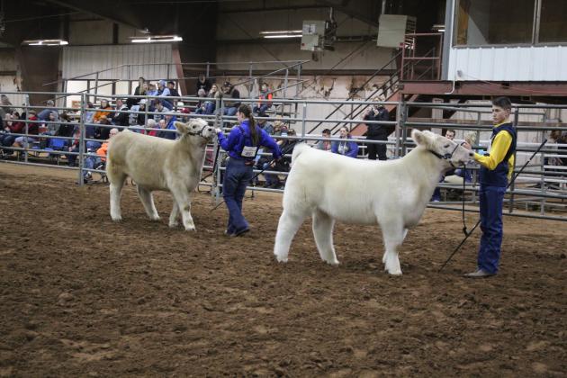Central Area Livestock Show