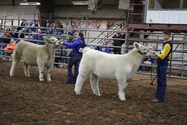 Central Area Livestock Show