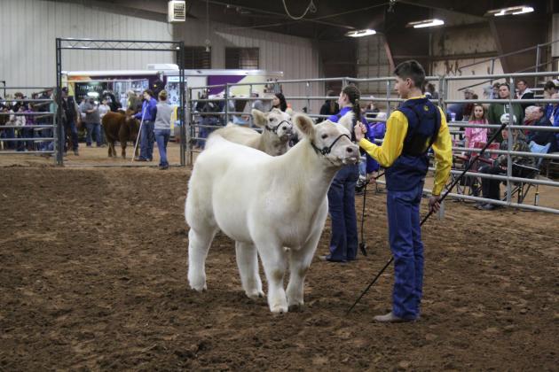 Central Area Livestock Show