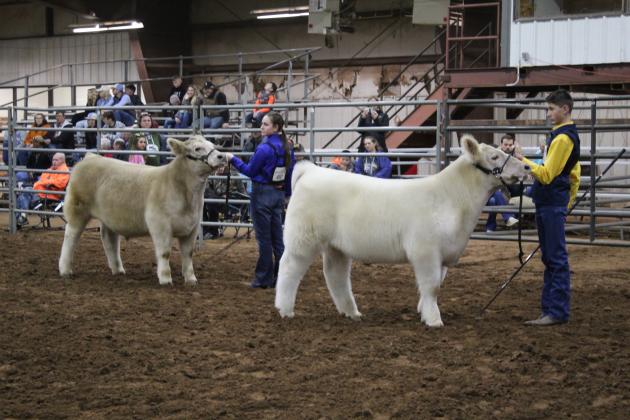 Central Area Livestock Show
