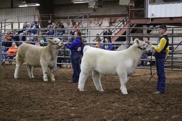 Central Area Livestock Show
