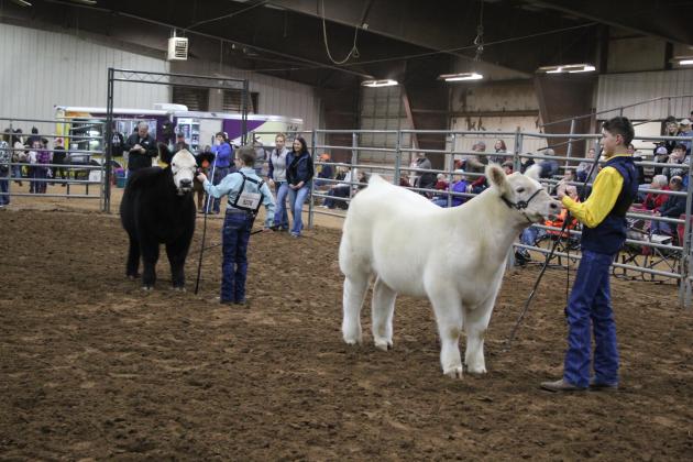 Central Area Livestock Show
