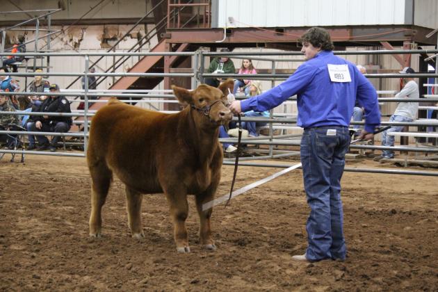 Central Area Livestock Show