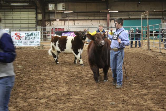 Central Area Livestock Show