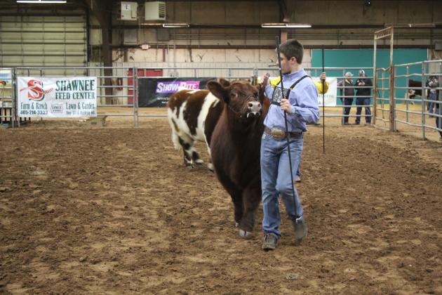 Central Area Livestock Show