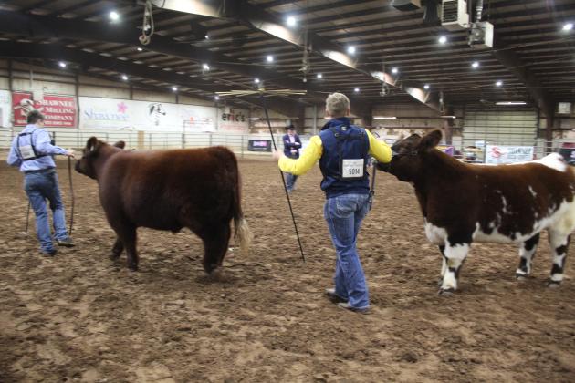 Central Area Livestock Show