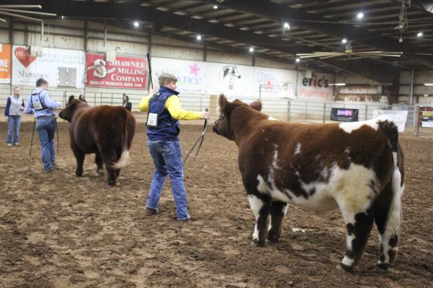 Central Area Livestock Show