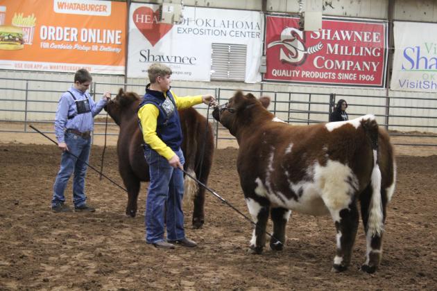 Central Area Livestock Show