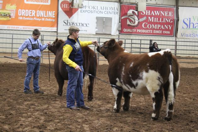 Central Area Livestock Show