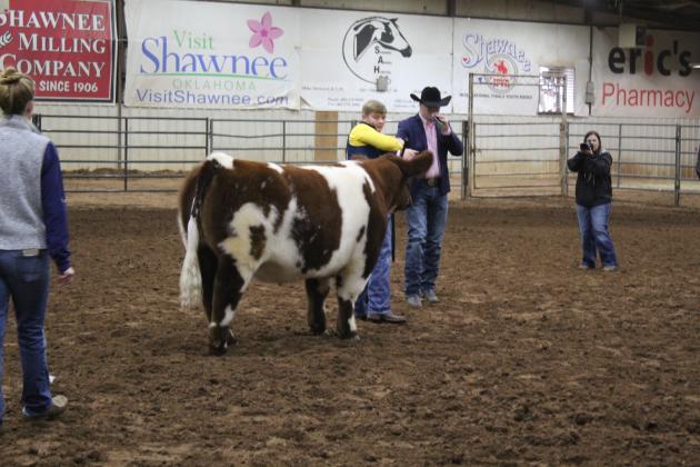 Central Area Livestock Show