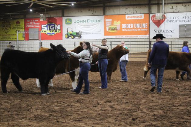 Central Area Livestock Show