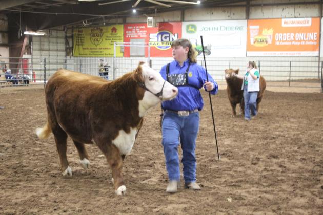 Central Area Livestock Show